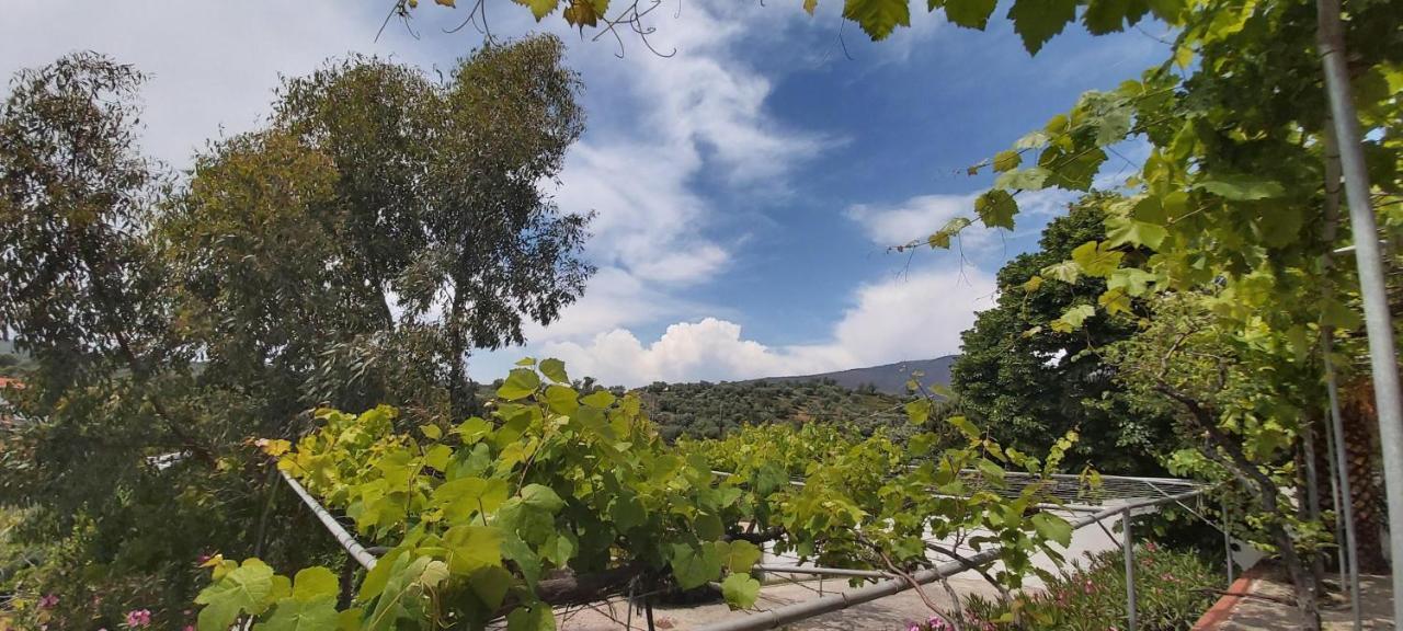 يميناريا Villa Gonates المظهر الخارجي الصورة
